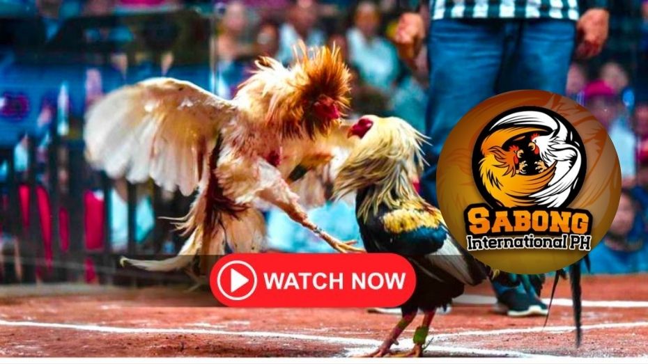 how to bet on racing